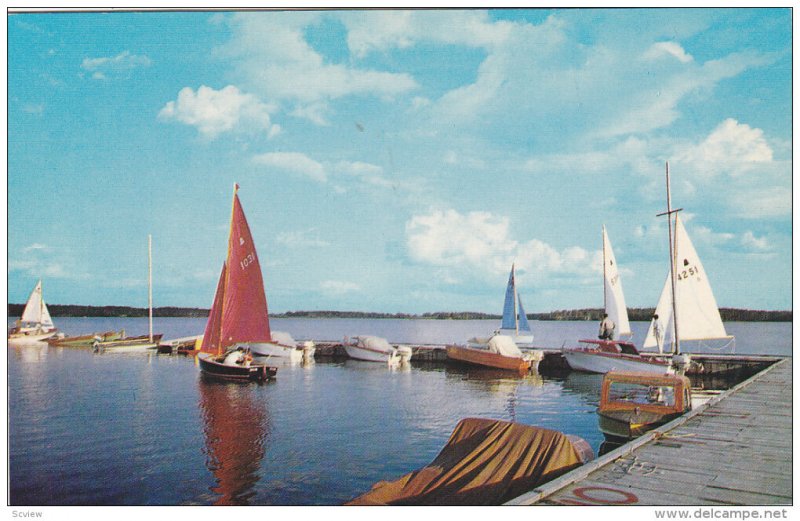 Sailing in a Northern lake , Canada , 50-60s