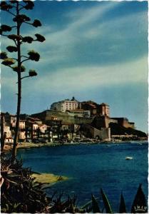 CPM CORSE - CALVI - Les Quais et la Citadelle (710954)