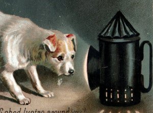 1880s Victorian Christmas Card Cute Dog & Lantern Fab! P139