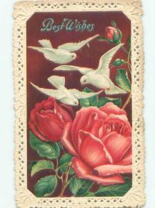 Divided-Back BIRDS SCENE Pretty Postcard AA9180