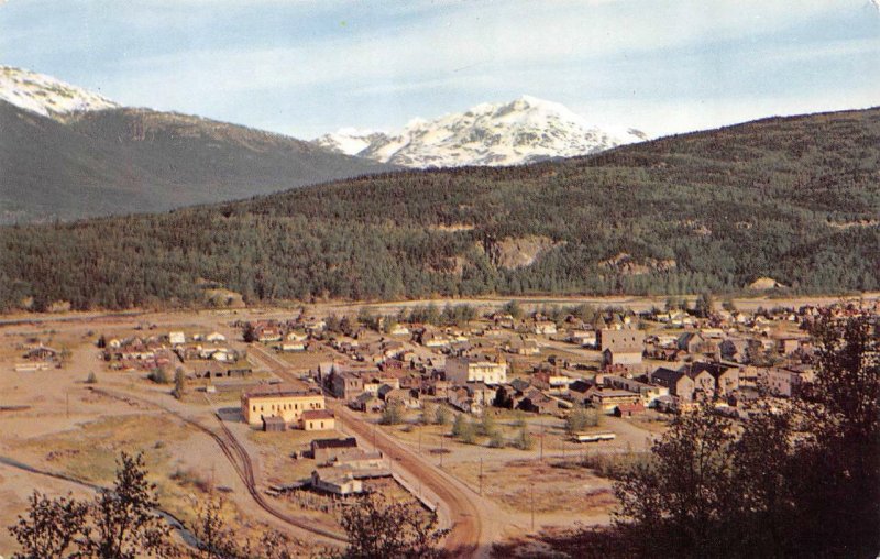 SKAGWAY, AK Alaska  BIRD'S EYE VIEW  Downtown Buildings~Homes  c1960's Postcard