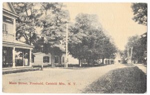 Freehold to Ray Brook, New York 1917 Post Card, Main Street, Catskill Mountains