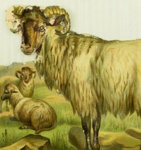 1880's-90's Large Die-Cut Ram Ovis Frank H. Emdin Fab! 7-O