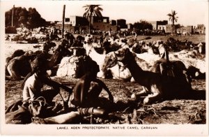 PC ADEN LAHEJ NATIVE CAMEL CARAVAN REAL PHOTO YEMEN (a31457)