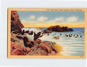 Postcard Seal Rocks Santa Catalina Island California USA