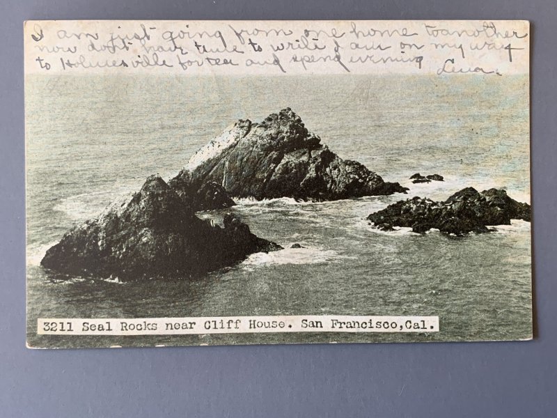 Seal Rocks Near Cliff House San Francisco CA RPPC Postcard A1140090700