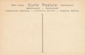 Opera House Interior in Paris, France - Opera in Progress - DB