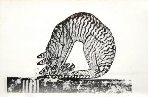 RPPC Egyptian Art; Cat Eating a Fish, Thebes, Tomb of Nakhr, Egypt, Unposted