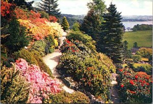 England Cumbria Westmorland Windermere Rock Garden