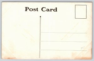 Springfield Illinois~City Hall~Clock Tower~B&W~Vintage Postcard