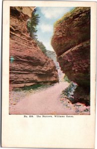 Postcard CO The Narrows Wiliams Canon