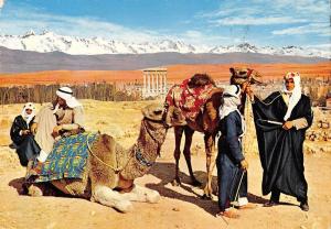 BR99409 liban lebanon general view of baalbeck and camel drivers