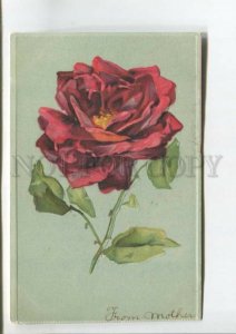 475797 Catharina Klein rose embossing Vintage postcard