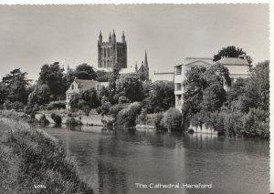 Herefordshire Postcard - The Cathedral - Hereford - Real Photograph - Ref 20605A