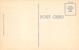 Alligator Pool Postcard