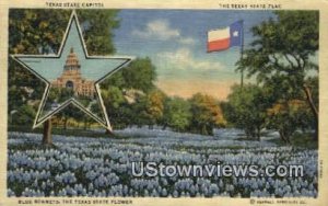 Texas State Capitol - Houston