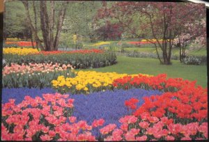 Netherlands Holland Keukenhof Lisse - unposted