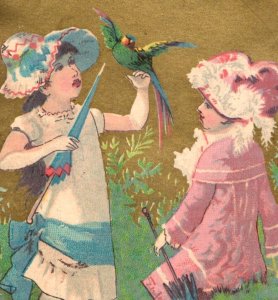 1880s J. Rothschild Brooklyn Cute Girls Parrot Fishing Lot Of 3 F44