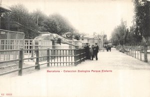 Vintage Barcelona Spain Zoo Elephant Postcard White Border Era