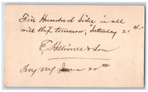1879 E. Alellimell & Son Troy New York NY Boston Massachusetts MA Postal Card
