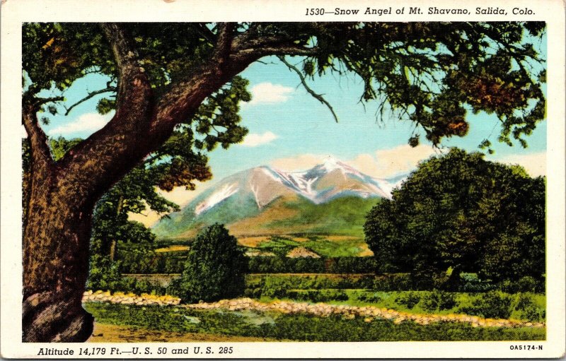 Saida California Mount Shavano Snow Angel Scenic Landscape WB Postcard 