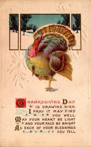 Thanksgiving Greetings With Turkey