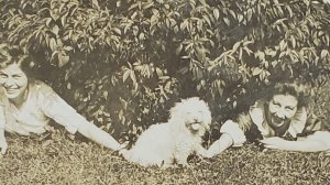 Two Girls One Adorable Puppy and a Bush RPPC Real Photo c1910 Postcard D27