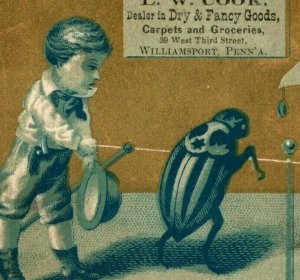 1880s L.W. Cook Dry Fancy Goods Giant Beetle Insect P230