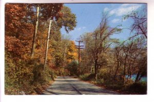 Autumn Road Scene, Colourpicture Publishers, Boston