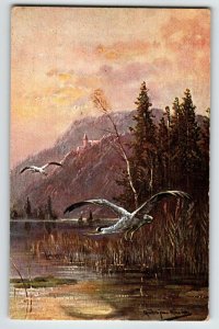 Postcard Wildlife Bird Herons Lake Mountains Artist Signed Muller Germany HK & M