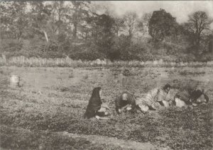 London Postcard - Women Working in Fields, St Matthew, Wandsworth Bridge RR13213