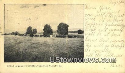 Burkes Garden  Tazewell County VA 1905