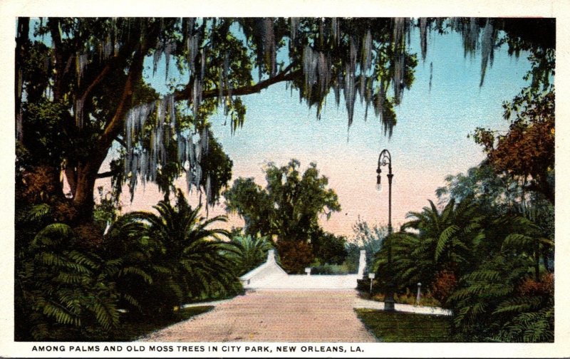 Louisiana New Orleans City Park Among Palms and Old Moss Trees Curteich