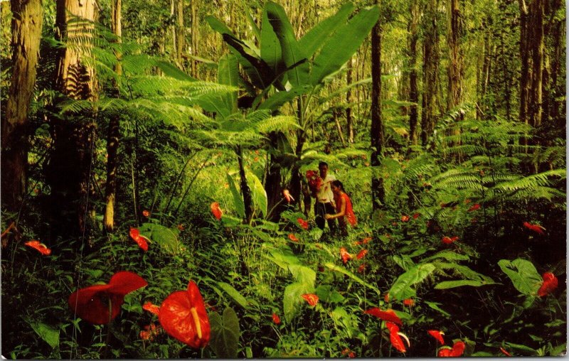 Red Anthurium Giant Tree Ferns Hawaii HI Rain Forest Postcard VTG UNP Nani Li’i  