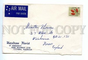 499028 Australia airmail to England fruit on a stamp COVER