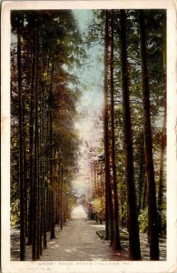 Vtg 1912 Ghost Walk State College Pennsylvania PA Postcard