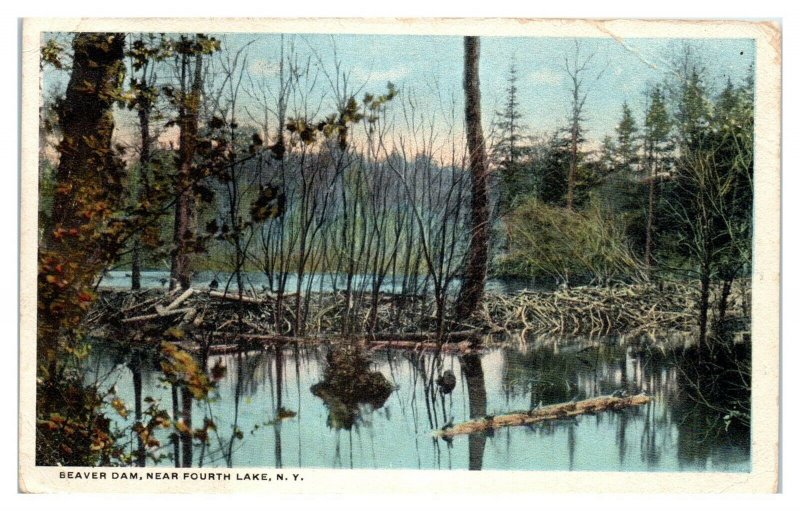 1917 Beaver Dam, Fourth Lake, NY Postcard *5N(3)30