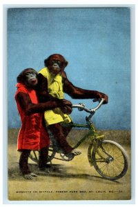 c1940's Monkey's On Bicycle Forest Park St. Louis Missouri MO Vintage Postcard
