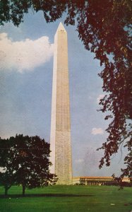 Washington D. C. Washington Monument Beautiful Trees and Lawns Vintage Postcard