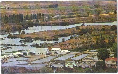 Snake River Trout Ranch, 6 Miles S of Buhl, Idaho, ID, pre-zip code Chrome