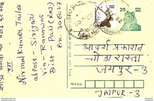 India Postal Stationery Tiger 25 Blackbuck