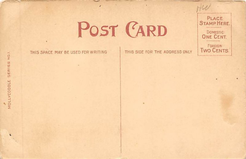 Mollycoddle View Postcard Backing 