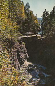 Minnesota Scene Along Temperance River