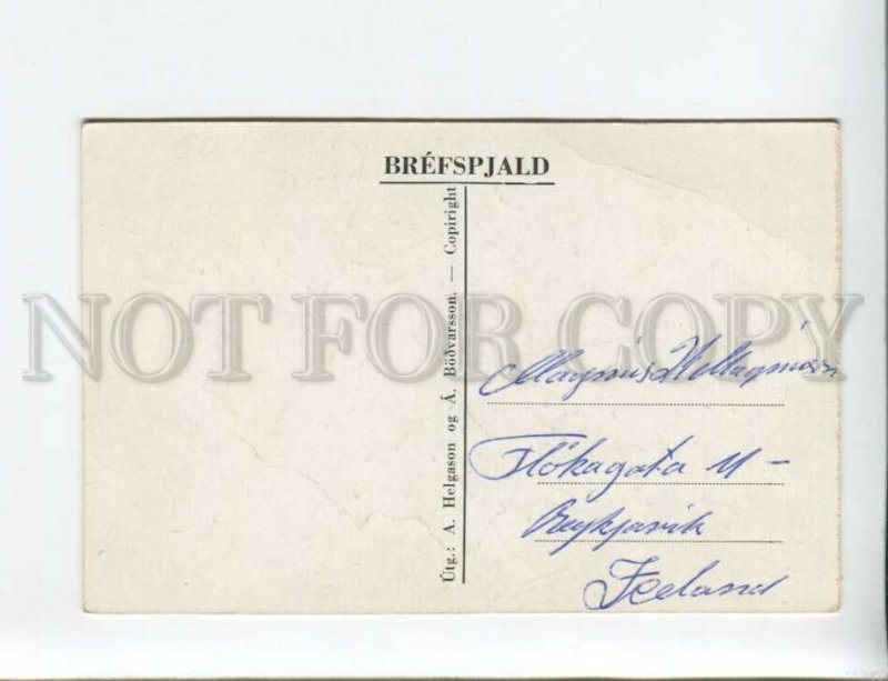 3173919 Iceland ISLAND map & FLAG Vintage postcard