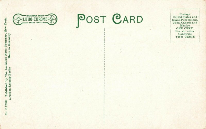 c.1907-15 Hunter Bow Dog Cooper's Town New York Postcard 10c1-226