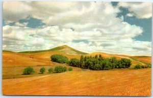 Postcard - Steptoe Butte - Washington