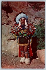 Baraboo, Wisconsin - Native American Indian Chief of One of The Tribes  Postcard