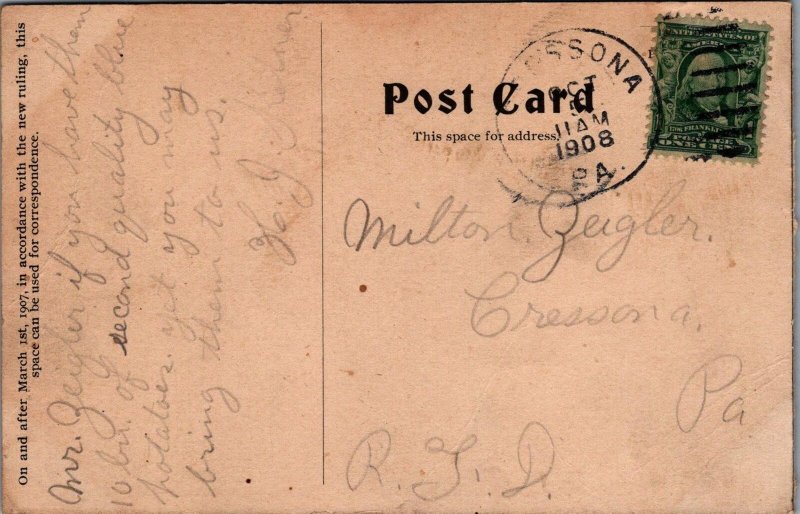 Postcard Leading Dept Store J Miehle & Son Pottsville PA 1908