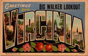 Virginia Greetings From Big Walker Lookout Large Letter Linen 1952  Curteich