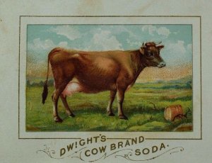 1870's-80's Dwight's Cow Brand Soda Farm/Pasture Scene Sweet Brown Cow F97